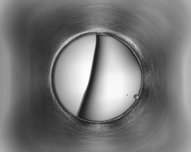 X0000094331327200711021124
