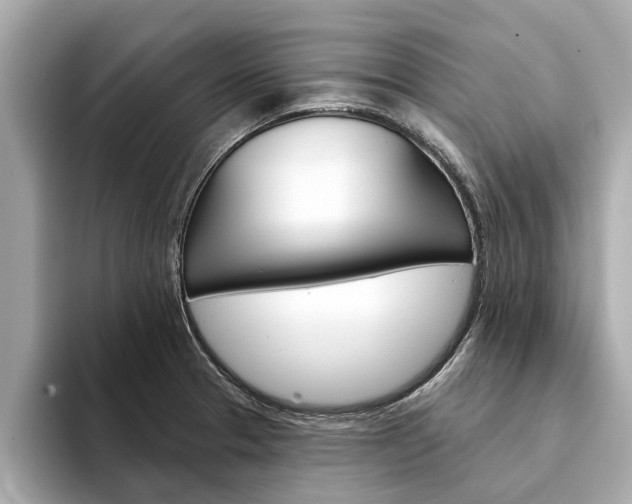 X0000094331329200711021124