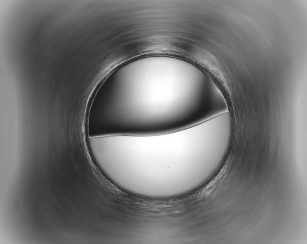 X0000094331330200711021124