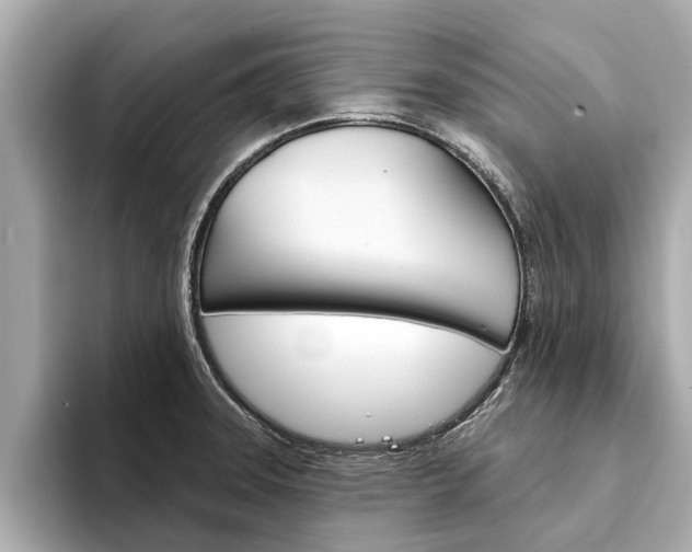 X0000094331331200711021124