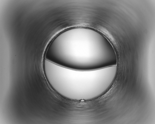 X0000094331332200711021124
