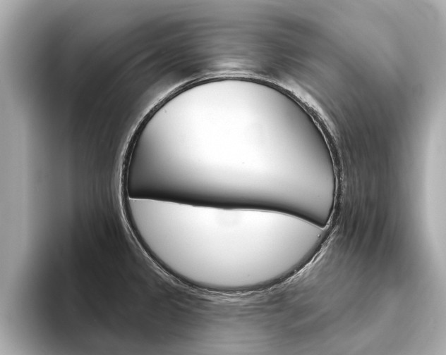 X0000094331333200711021124