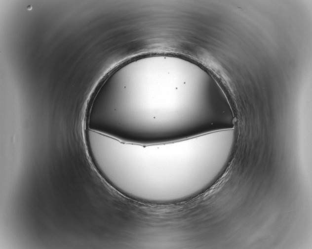 X0000094331334200711021124