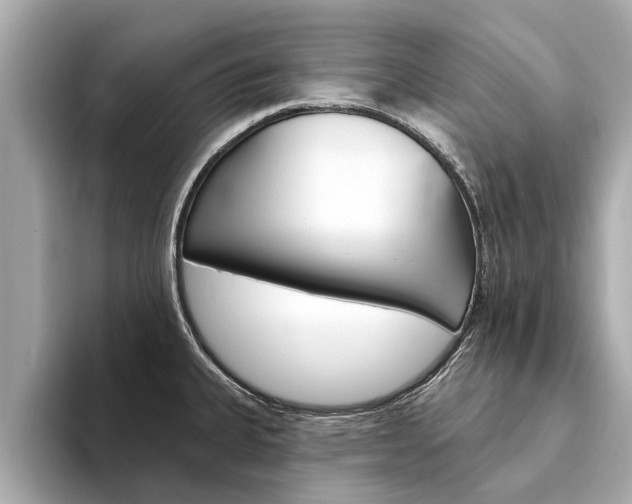 X0000094331335200711021124