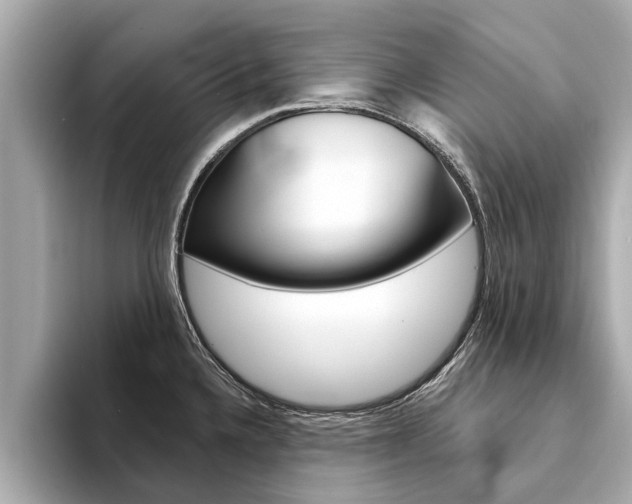 X0000094331336200711021124