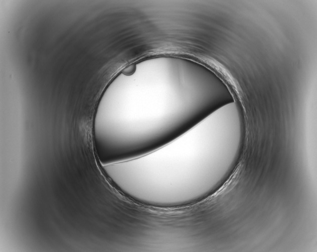 X0000094331337200711021124