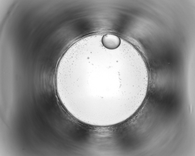 X0000094331338200711021124