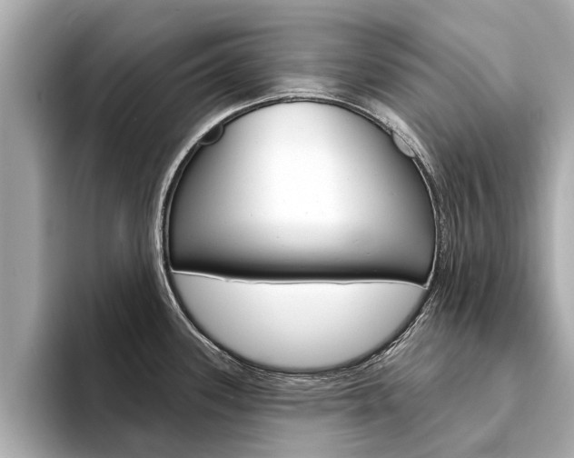 X0000094331339200711021124