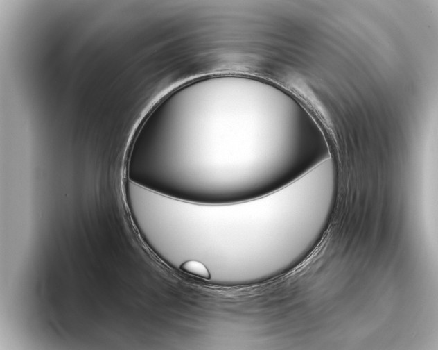 X0000094331340200711021124