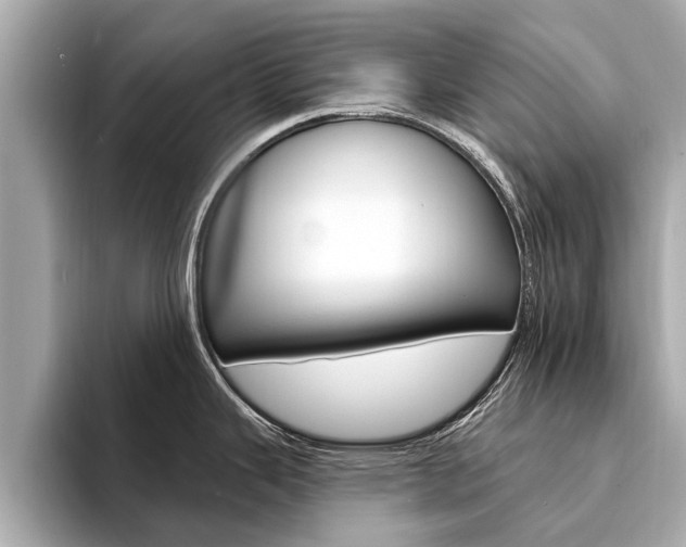 X0000094331343200711021124