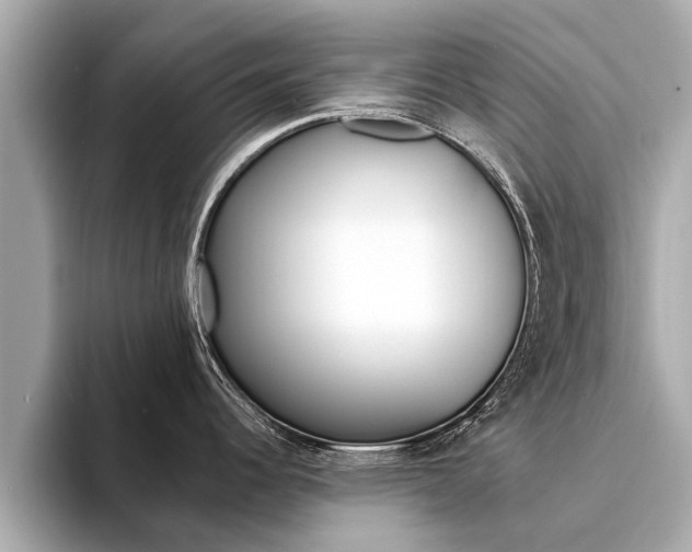 X0000094331344200711021124