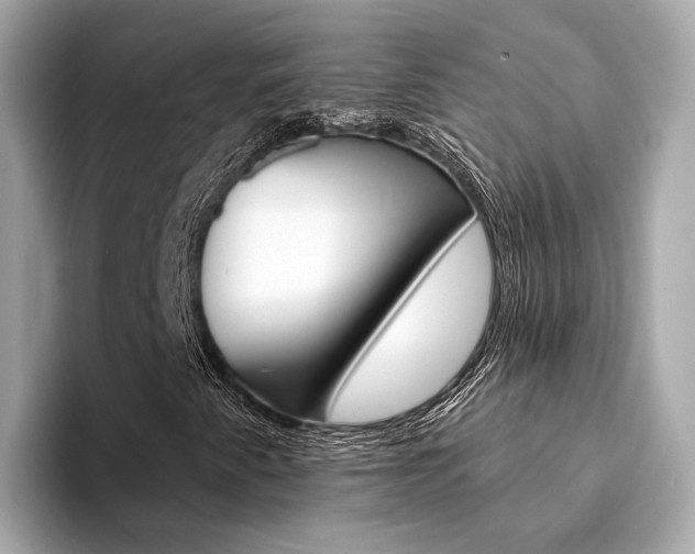 X0000094331345200711021124