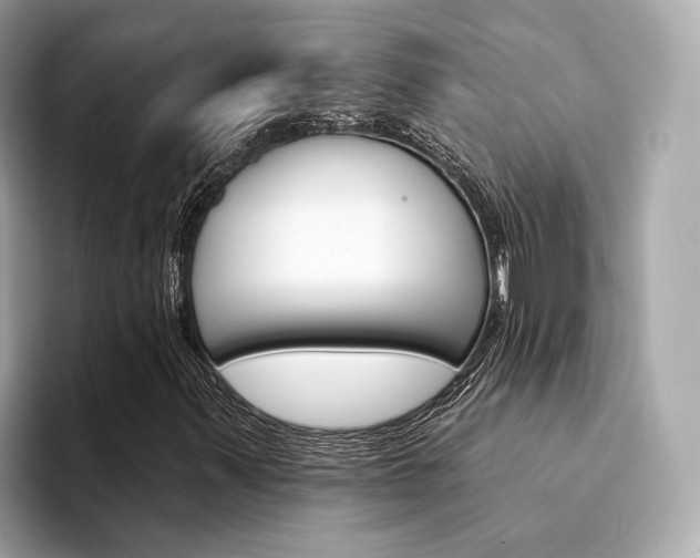X0000094331347200711021124