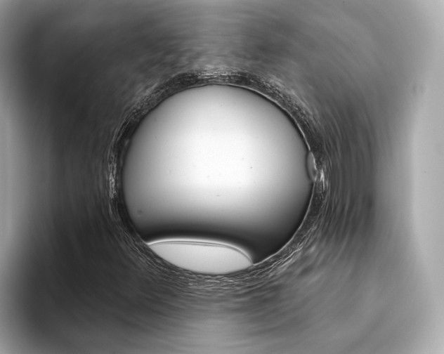 X0000094331348200711021124