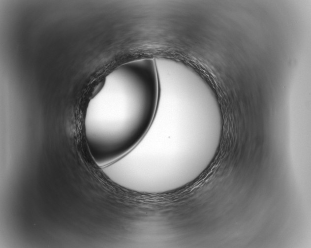 X0000094331349200711021123