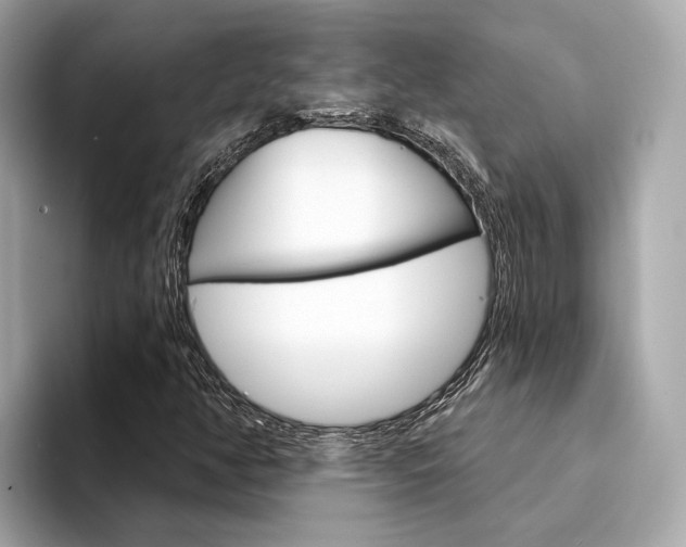 X0000094331350200711021123