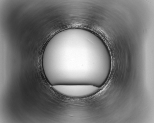 X0000094331353200711021123