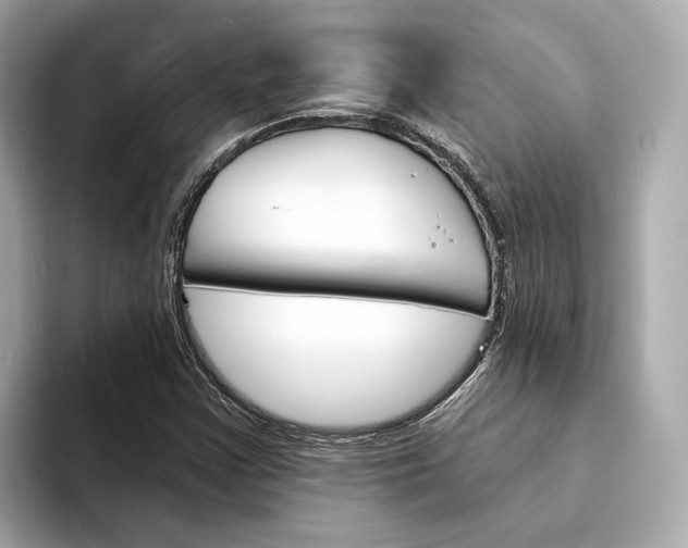 X0000094331355200711021123