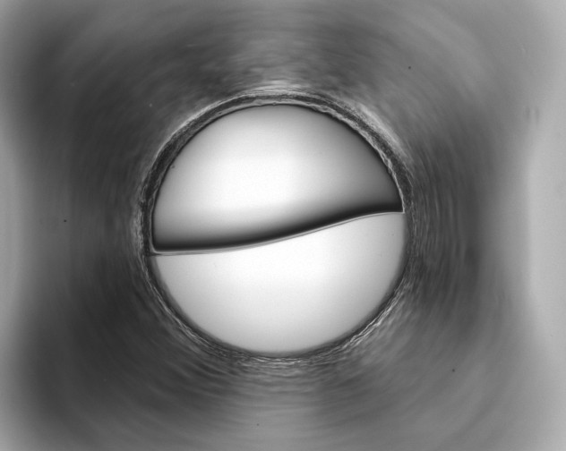 X0000094331356200711021123