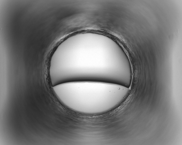 X0000094331359200711021123