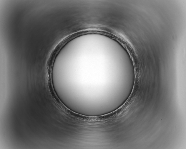 X0000094331360200711021123