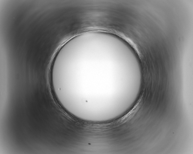 X0000094331365200711021123