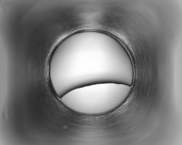 X0000094331366200711021123