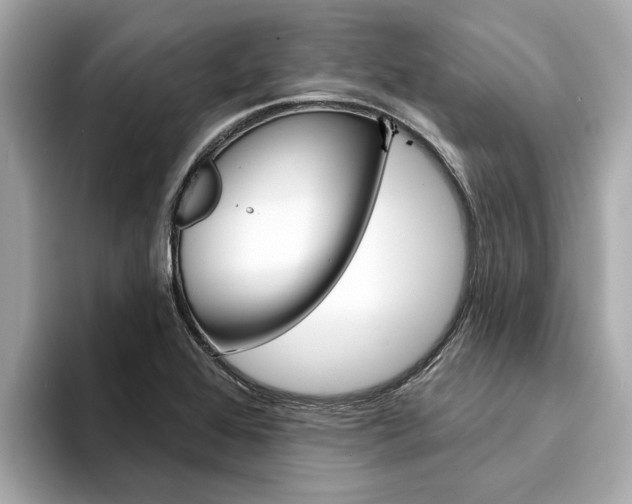 X0000094331368200711021123