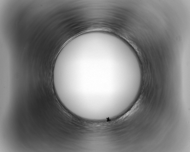 X0000094331369200711021123