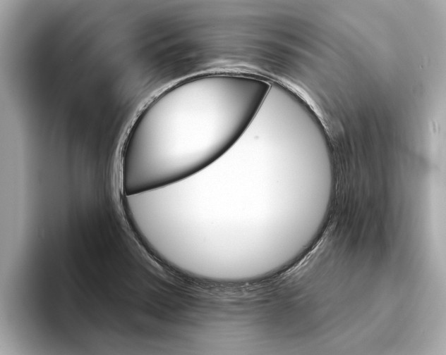 X0000094331371200711021123