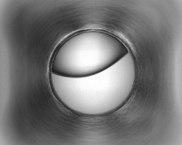 X0000094331372200711021123