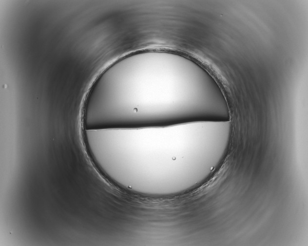 X0000094331375200711021123