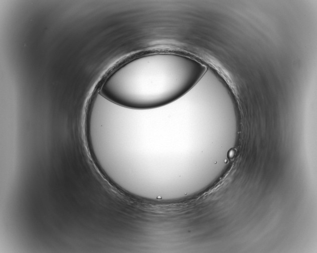 X0000094331376200711021123