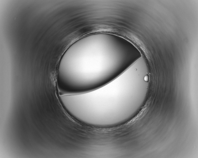 X0000094331377200711021123