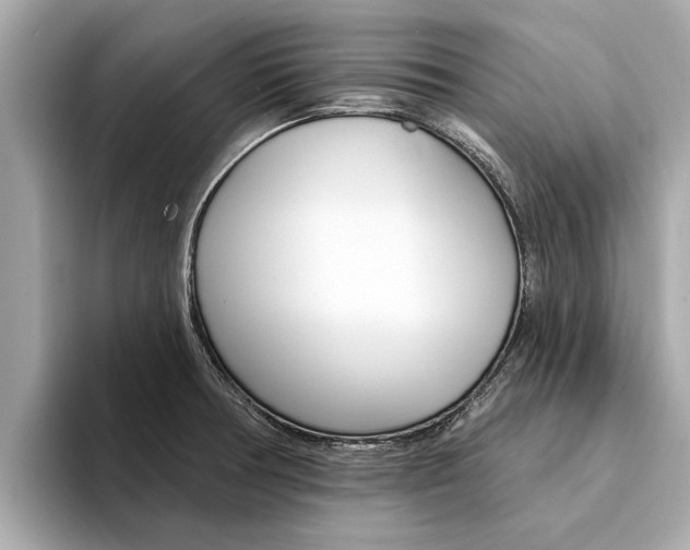 X0000094331378200711021123