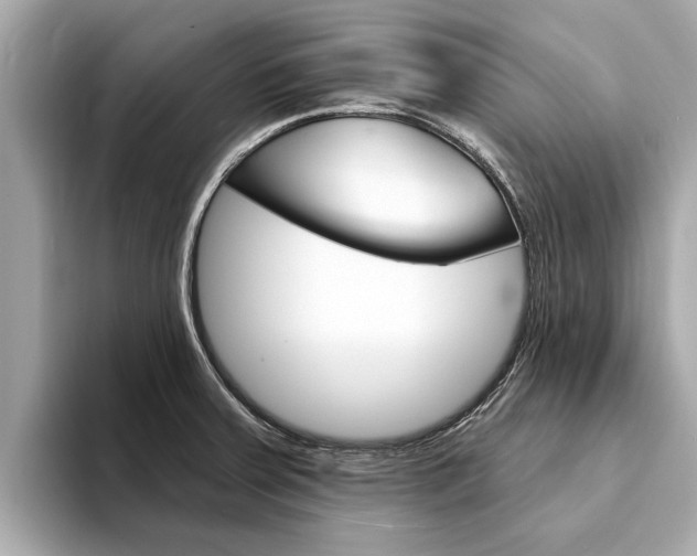 X0000094331379200711021123