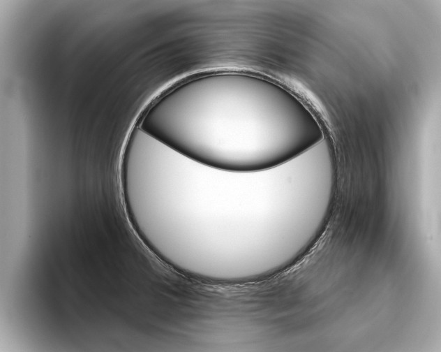 X0000094331380200711021123