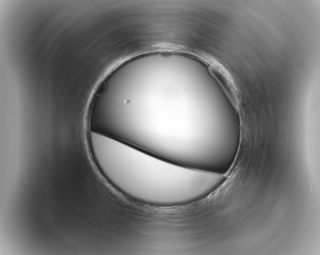 X0000094331381200711021123