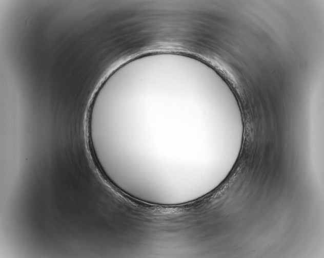 X0000094331382200711021123