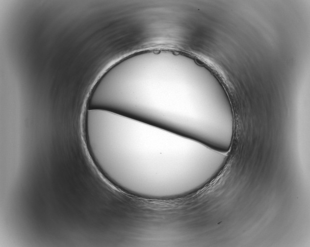 X0000094331383200711021123