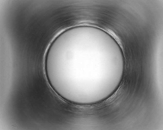 X0000094331384200711021123