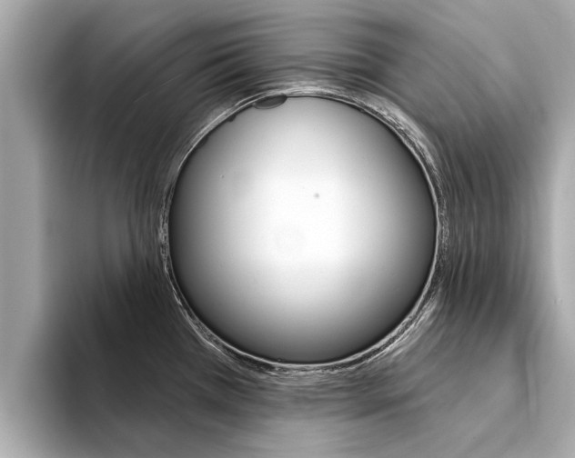X0000094331385200711021123