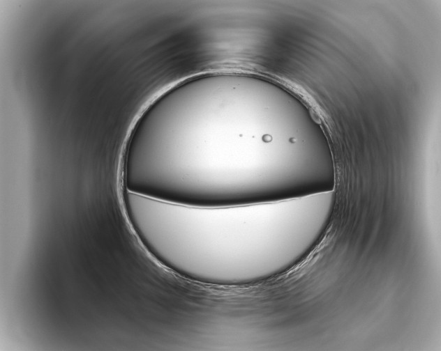 X0000094331387200711021123