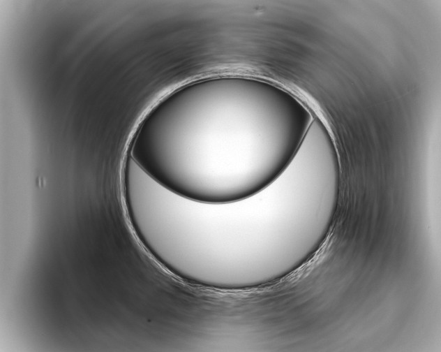 X0000094331389200711021123