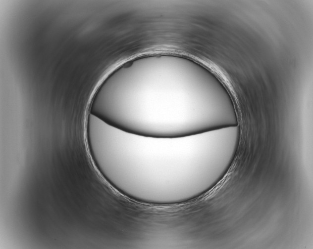X0000094331390200711021123