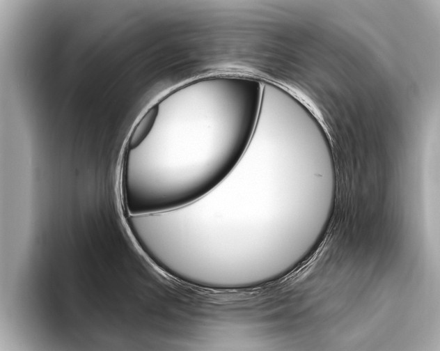 X0000094331391200711021123