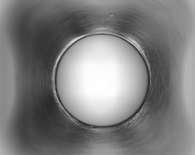 X0000094331392200711021123