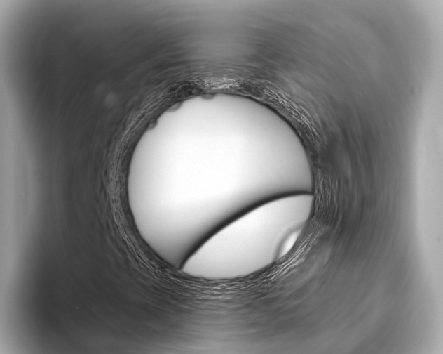 X0000094331393200711021122