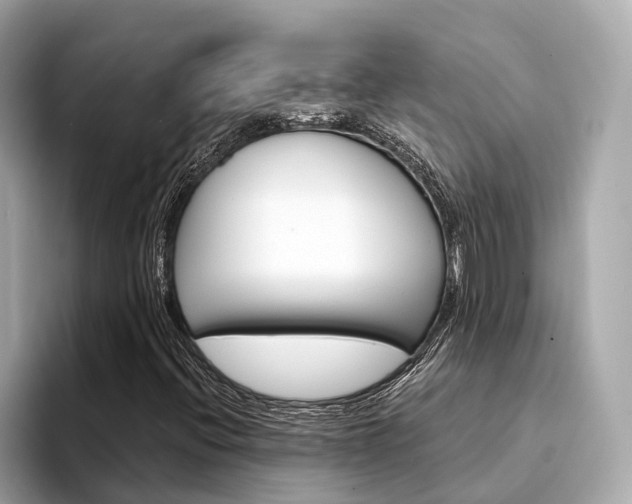 X0000094331396200711021122