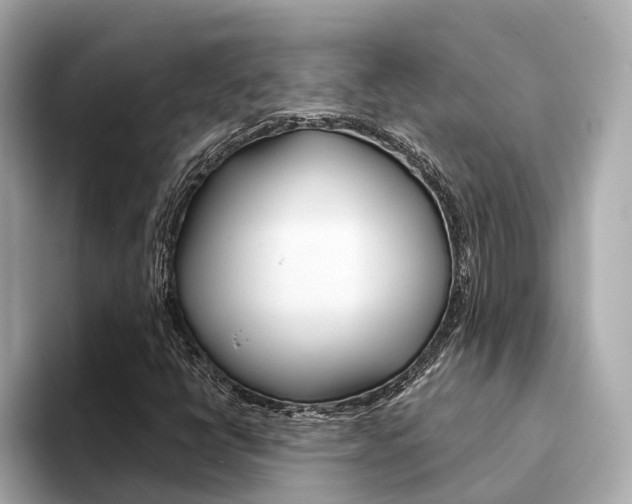 X0000094331398200711021122